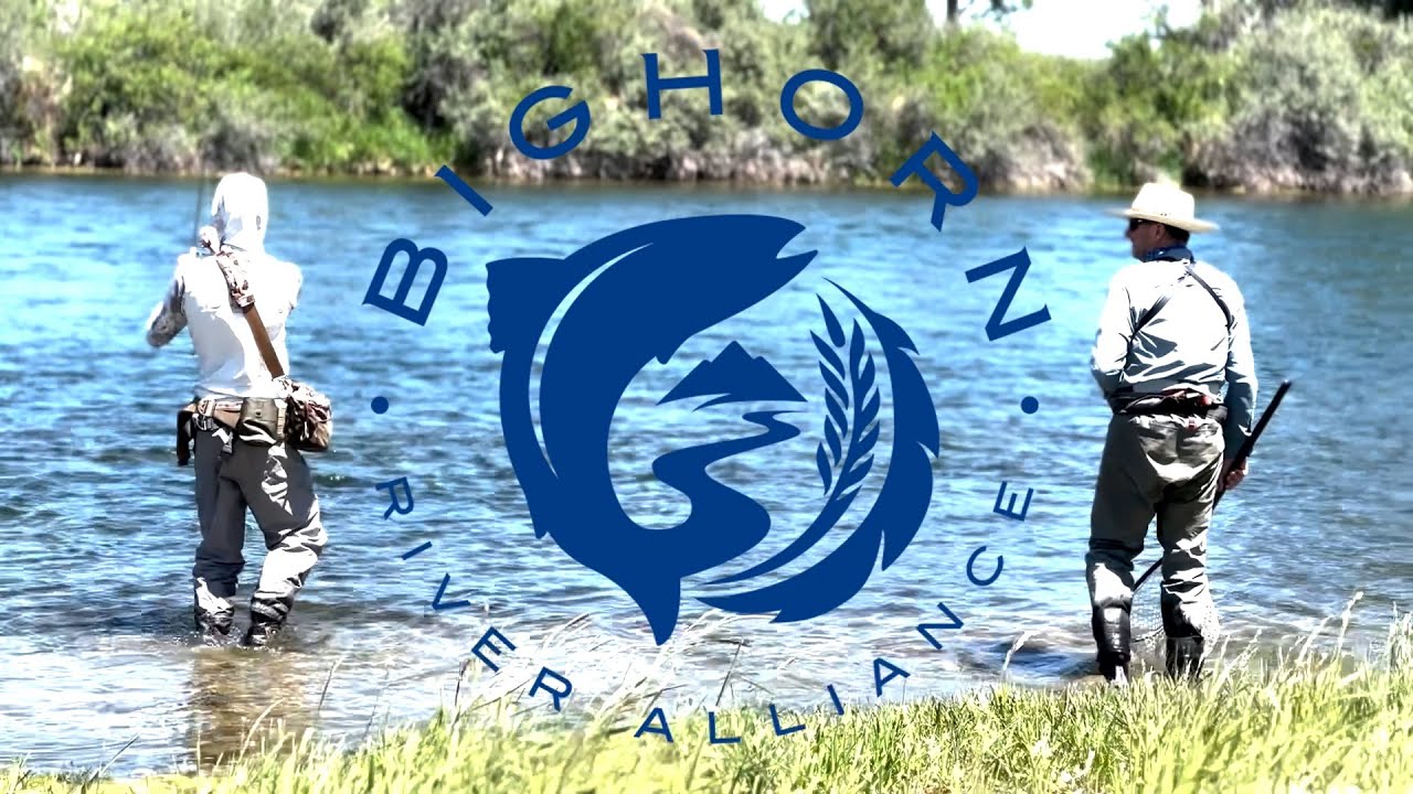 Bighorn Catch and Release