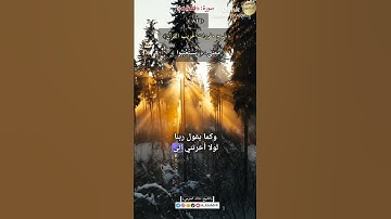 معنى :(يَسْتَعْتِبُوا) ٨٤,-شرح مفردات غريب القرآن ،سورة فصلت, الشيخ خالد الحرمي.#غريب_القرآن