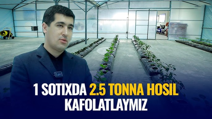 Tojikcha jinsiy aloqa