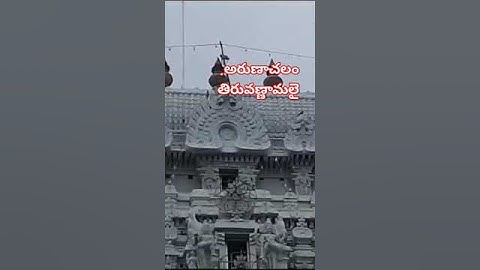 కార్తీక పౌర్ణమి రోజు అరుణాచలేశ్వర స్వామి దర్శనం | Arunachalam | Tiruvannamalai | Karthika Pournami