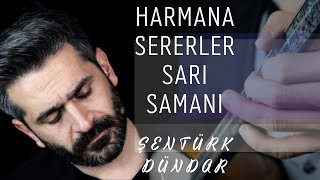 HARMANA SERERLER SARI SAMANI - ŞENTÜRK DÜNDAR Resimi