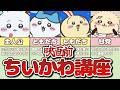 【15分で分かる】映画版ちいかわ視聴前に必要な知識まとめてみた！