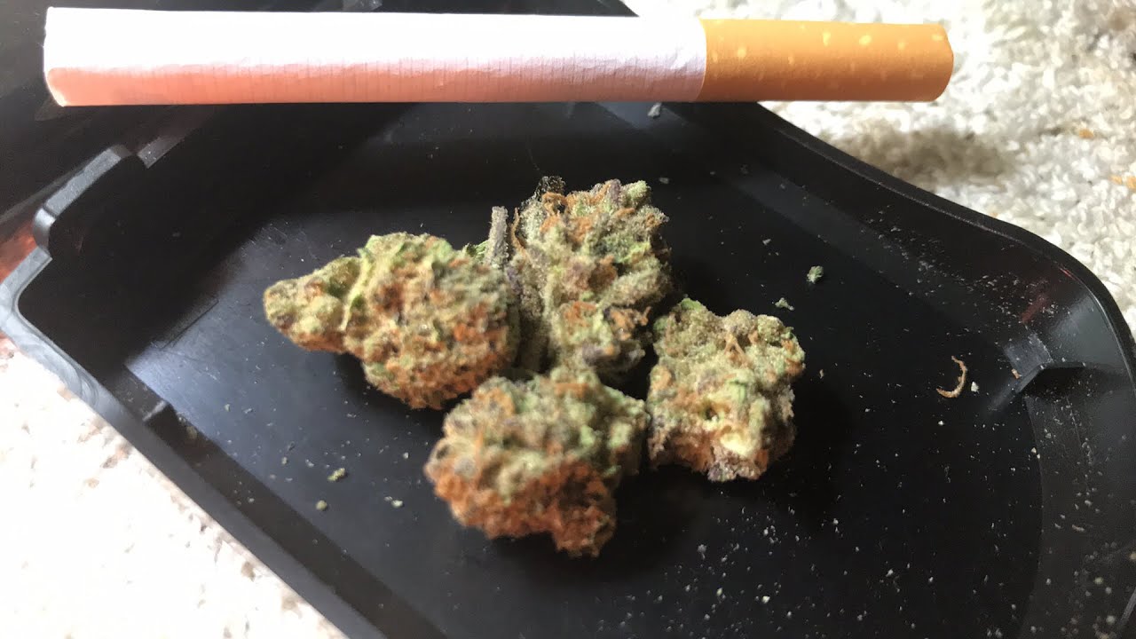 Smoking Wappa 🍃INDICA 23+ THC 😱