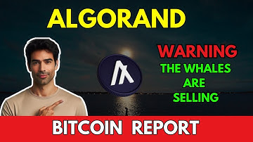 ALGORAND: The Whales Are SELLING | Algorand Price Prediction | Algo Analysis