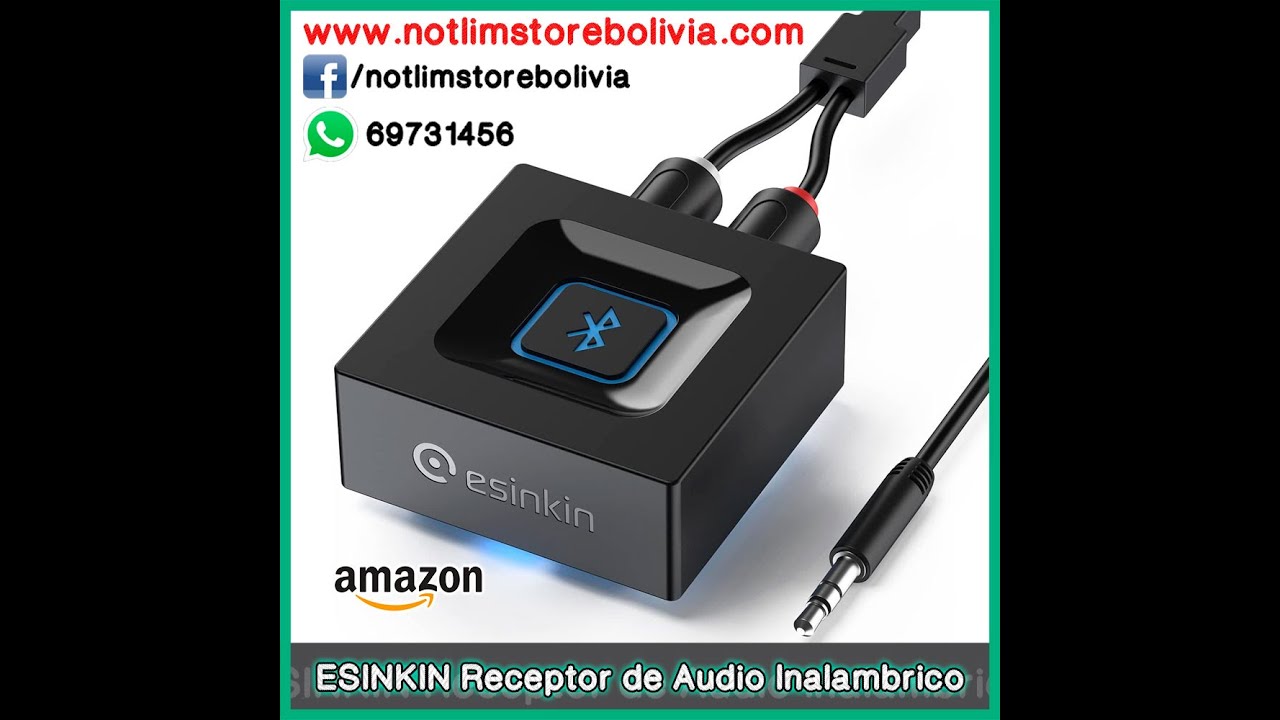 ESINKIN Receptor de Audio Inalambrico