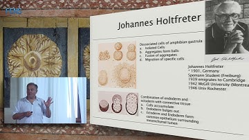 Juergen A. Knoblich on Cerebral organoids - modelling human brain development and tumorigenesis