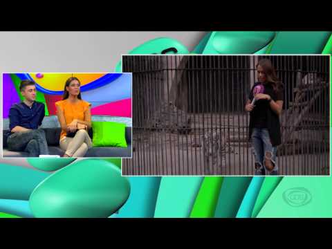 GDS დილა - \"პინგვინები თბილისის ზოოპარკში\" ნინო კვანტრიშვილის ჩართვა