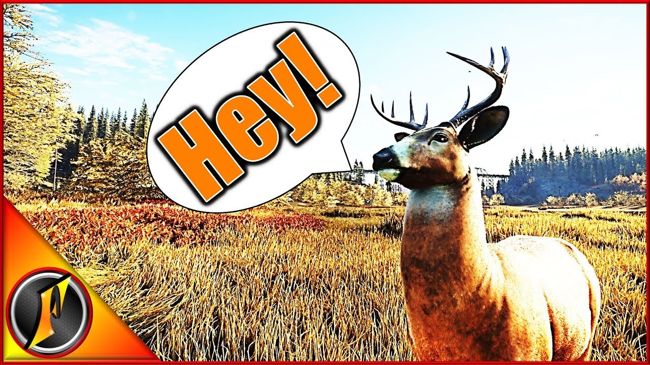 Just a Few Announcements 😃 Just a Few Announcements 😃