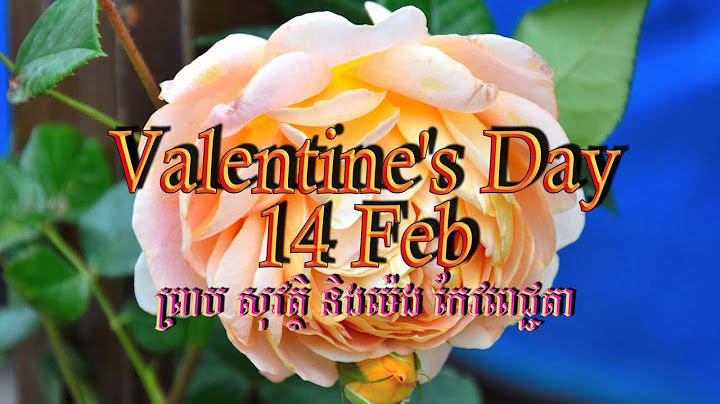 Valentine’s Day 14 Feb (ព្រាប សុវត្ថិ, ម៉េង កែវពេជ្ជតា), Lyrics Audio, RHM CD Vol 211