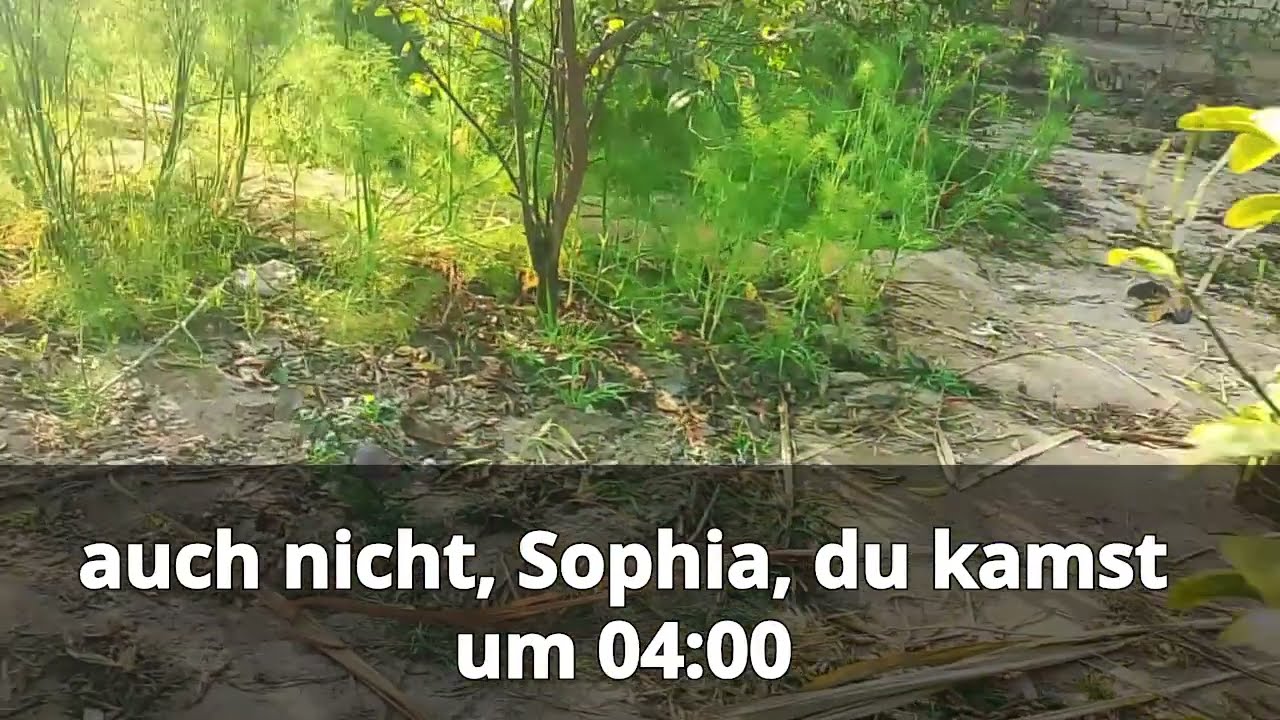 Geh doch nach Hause, wenn du eifersüchtig bist“, sagte sie – also ging ich wirklich