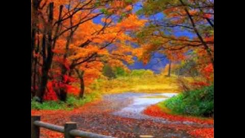 اروع واجمل صوت للقارئ يوسف الدغوش- سورة مريم