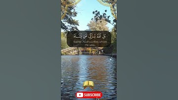 أروع تلاوات القرآن الكريم- سورةالنساء- مشاري بن راشد العفاسي