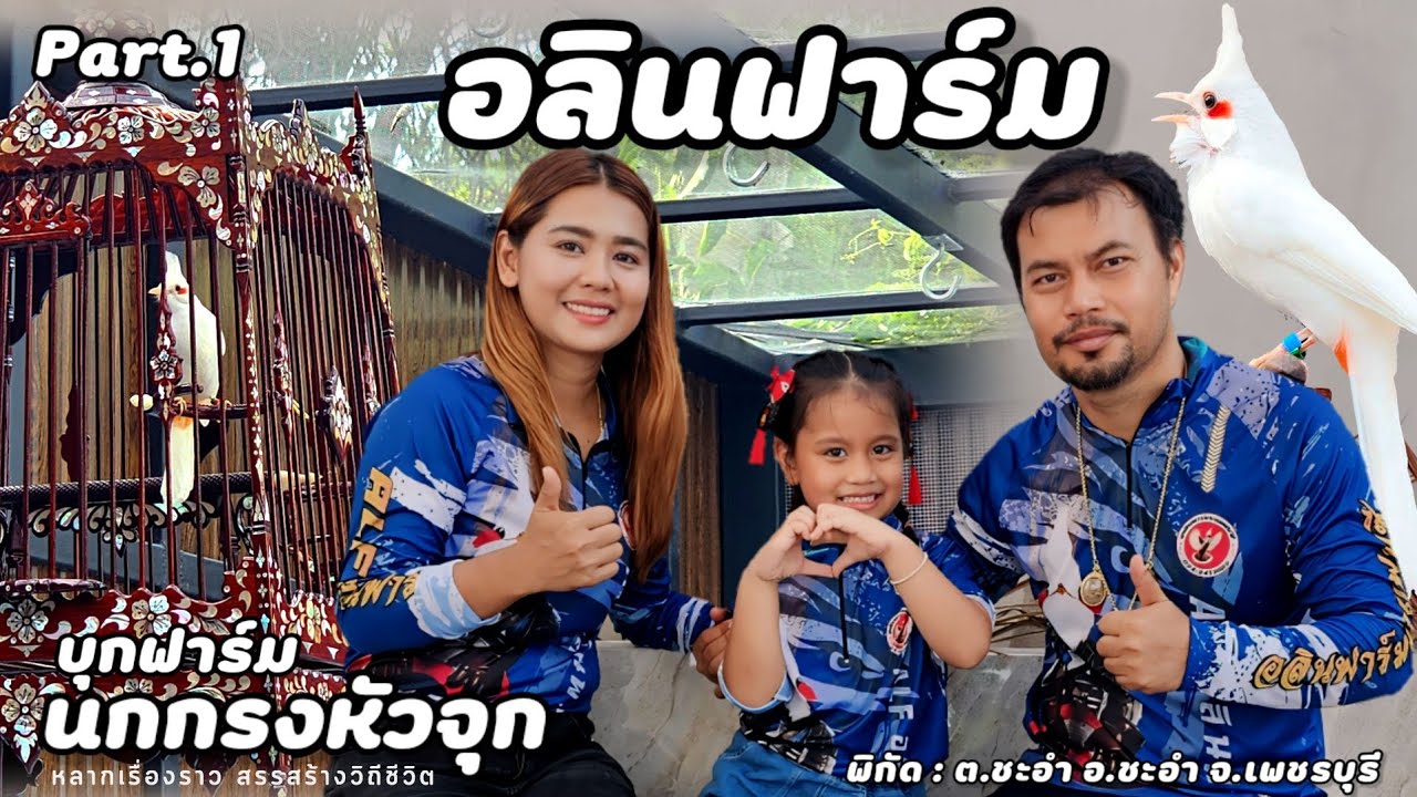บุกฟาร์ม | นกกรงหัวจุกแฟนซี(อลินฟาร์ม)ลาออกจากวิศวกรมาเลี้ยงนก สร้างรายได้เลี้ยงครอบครัว | Part.1
