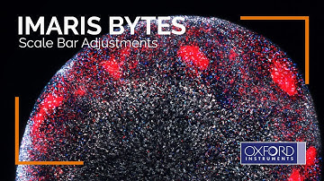 Imaris Bytes | Scale Bar Adjustments
