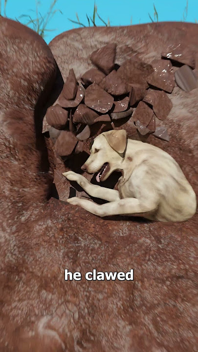 The Dog They Buried Alive 😨