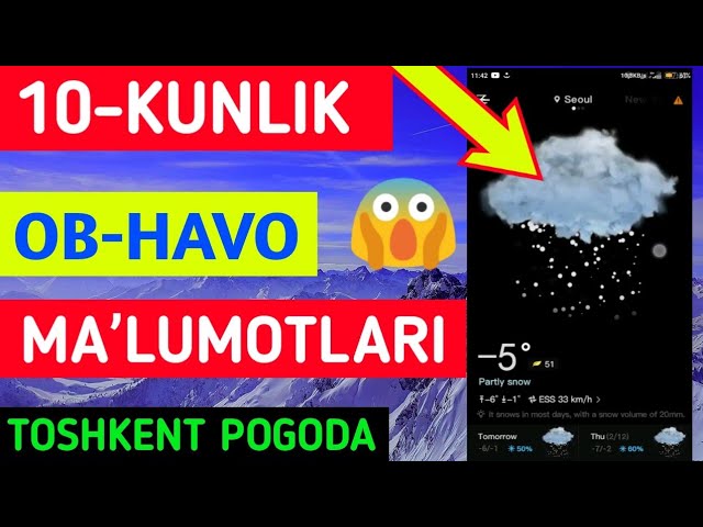 10 Kunlik ob havo malumotlari. Об хаво. Ташкент 10 kunlik ob havo. Оби хаво.