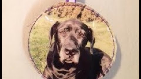 Sew Art - 2016 - How to Digitize an In The Hoop Photo Ornament