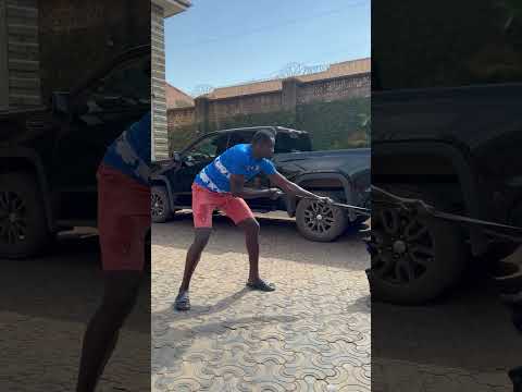 Best Cane Corso in Uganda
