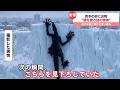 【新作】危険生物にまつわるニュースがツッコミどころ満載だったwwwwww #2【なろ屋】【ツッコミ】