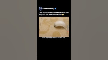 This Jellyfish Robot Swim Faster Than Real Jellyfish. You Won