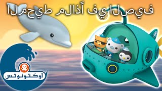 أوكتونوتس | ☀️ المحيط ملاذًا في الصيف 🏖️ | رسوم متحركة للأطفا