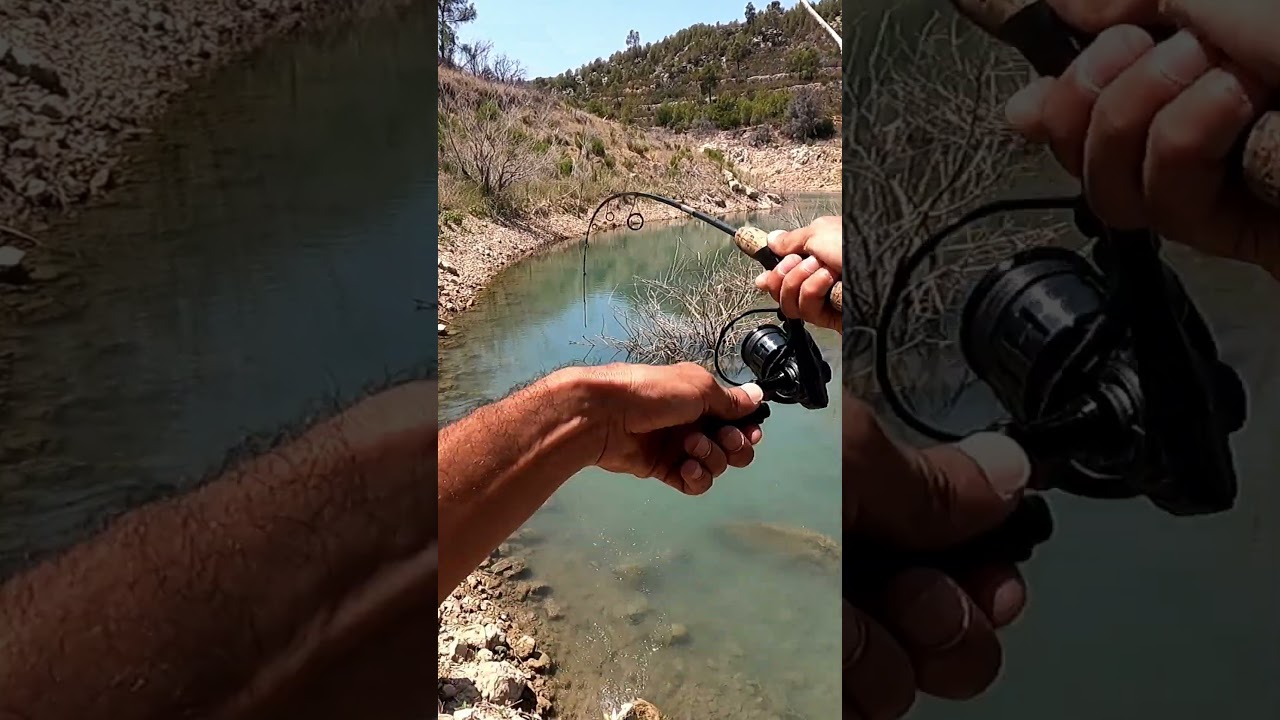 Se ACTIVAN cuando algo cae al agua!!! #pesca #blackbass #fishing #blackbassfishing