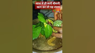 सारी बीमारी खत्म बस कर लो यह उपाय 🌿🙏#pandit_pradeep_ji_mishra #ravish #archana 🌿🙏