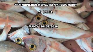 ΑΝΑΓΝΩΡΙΣΤΙΚΌ ΜΕΡΟΣ ΓΙΑ ΨΑΡΕΜΑ ΛΥΘΡΙΝΙΑ