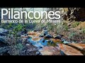 PILANCONES: Bco. de la Cueva de MILLARES (febrero 2021) #GranCanaria #Pilancones #Ayagaures