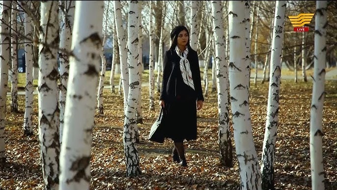 Кемедегі жеке секс