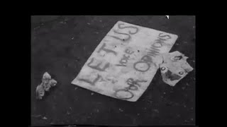 Watch Brian Jonestown Massacre Satellite video