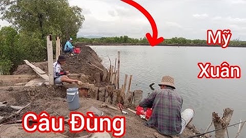 Câu cá Bống Đục và cá Ngát Đầu Mùa ở Đùng Mỹ Xuân/ Câu Đùng Mỹ Xuân Tân Thành BRVT @Dammecauca1