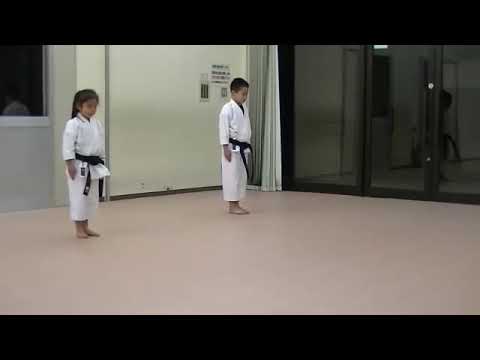 Video: Dalam karate apakah kata?