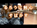 【BASS】 るろうに剣心 OP "そばかす" スラップベースで弾いてみた♪　(ぜっとん)