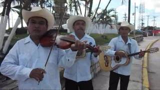 LOS TROVADORES DE PANUCO LA LEVA chords