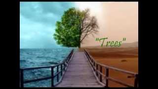 Trees - The Platters