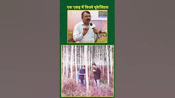 एक एकड म Eucalyptus क क तन प ध लग न च ह ए Eucalyptus Tree Agriculture Shorts 