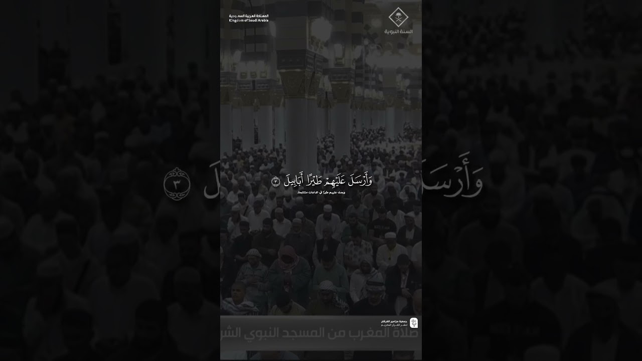 مقتطف من تلاوة فضيلة الشيخ #عبدالمحسن_القاسم من صلاة المغرب 8 رجب 1447هـ