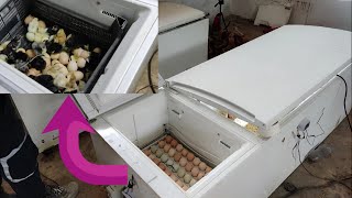 Simple Fully Automatic Incubator Construction, Detailed Explanation