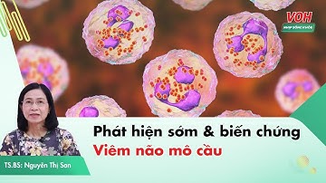 Cách phát hiện sớm và biến chứng của bệnh viêm não mô cầu | Nhịp Sống Khỏe VOH