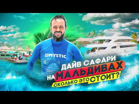 Видео: Все, что нужно знать о дайвинг-сафари