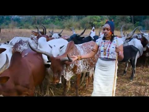 Fadi kippo dourobe Lesde Africa  ( video clip )