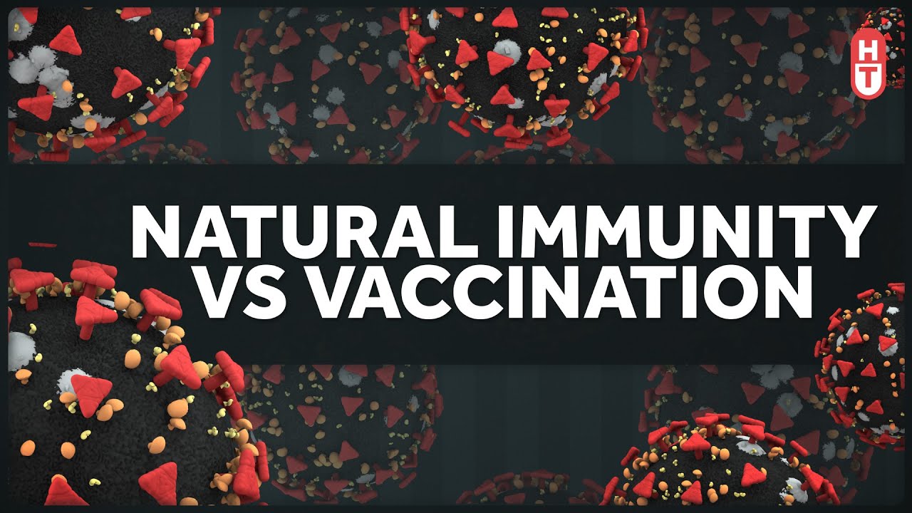 Covid Natural Immunity vs Vaccine Immunity