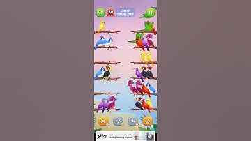 #bird #sort #lavel 759