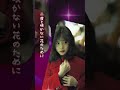 中森明菜さん推し動画 使用楽曲 赤い花 