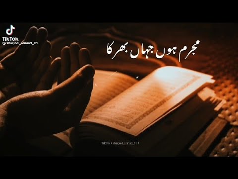 Mujrim Hu Jahan Bhar Ka Naat Status | Mehshar Main Bharam Rakhna | Sad Naat Status | Heart Touching