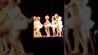 Albano Nutcracker Bon Bon  Middletown high 2016