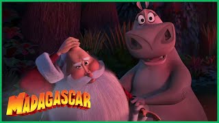 DreamWorks Merry Madagascar em Português | Rena do Papai Noel | Especial de Natal