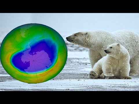 Ozone Depletion vs. Information & Facts Ozone Depletion vs. Information & Facts