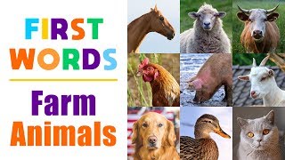 First words for toddlers, babies, kindergarten, kids - learning farm
animas names children with pictures and flashcards. subscribe to
kiddopedia channel ...